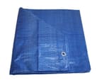 Emergency tarp